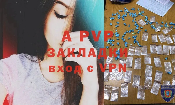 МДПВ Бородино