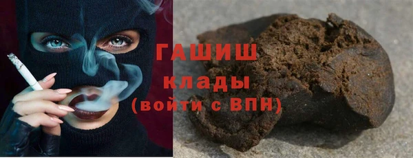 МДПВ Бородино