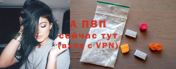 МДПВ Бородино