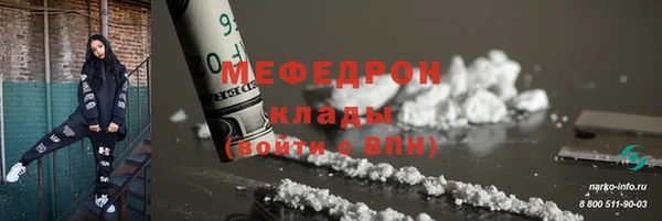 МДПВ Бородино