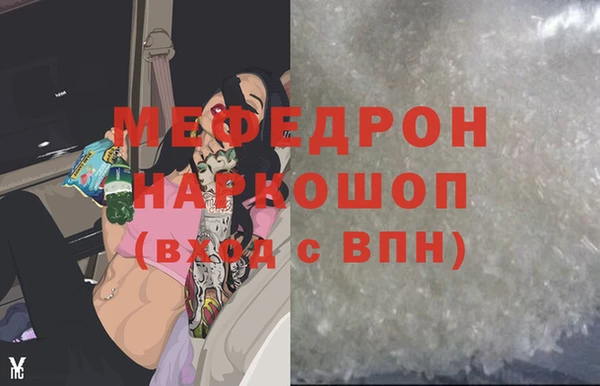 МДПВ Бородино