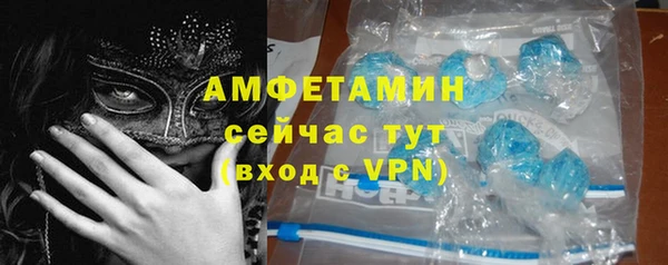 МДПВ Бородино