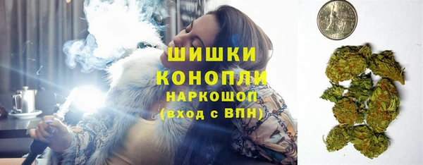 МДПВ Бородино