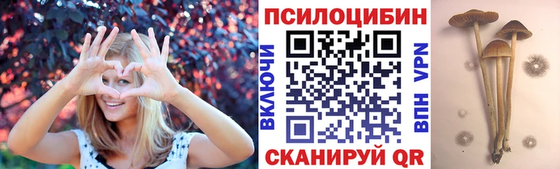 Купить где  Голицыно  Псилоцибиновые грибы Magic Shrooms 